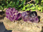 Polished Cascading Skeletal Smokey Window Amethyst Crystals x 4 From Akansobe, Madagascar - Toprock Gemstones and Minerals 