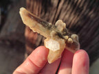 Natural Drusy Fairy Spirit Quartz Crystals x 35 From Boekenhouthoek, South Africa - Toprock Gemstones and Minerals 