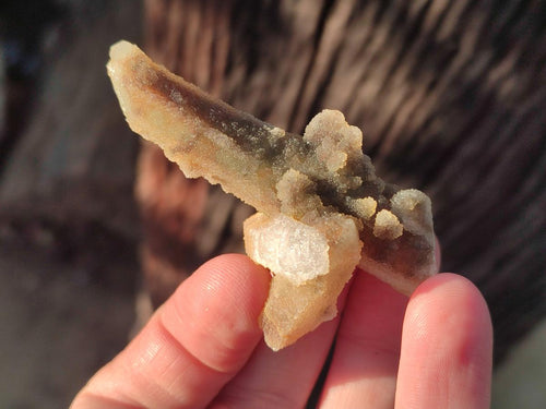 Natural Drusy Fairy Spirit Quartz Crystals x 35 From Boekenhouthoek, South Africa - Toprock Gemstones and Minerals 