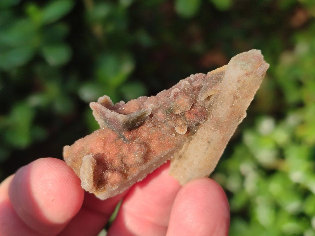 Natural Drusy Fairy Spirit Quartz Crystals x 35 From Boekenhouthoek, South Africa - Toprock Gemstones and Minerals 