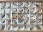 Natural Drusy Fairy Spirit Quartz Crystals x 35 From Boekenhouthoek, South Africa - Toprock Gemstones and Minerals 