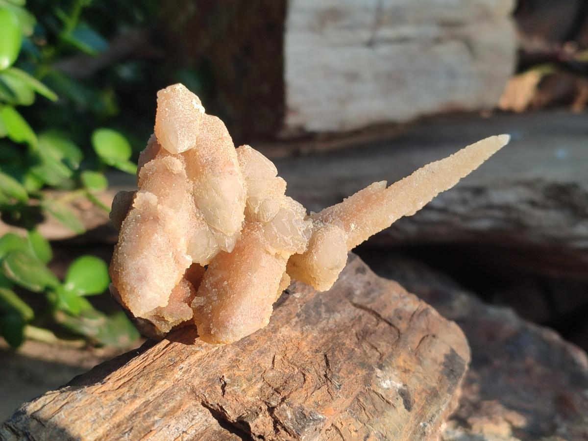 Natural Drusy Fairy Spirit Quartz Crystals x 35 From Boekenhouthoek, South Africa - Toprock Gemstones and Minerals 