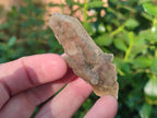 Natural Drusy Fairy Spirit Quartz Crystals x 35 From Boekenhouthoek, South Africa - Toprock Gemstones and Minerals 