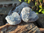 Natural Blue Celestite Specimens x 55 From Sakoany, Madagascar - Toprock Gemstones and Minerals 
