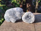 Natural Blue Celestite Specimens x 55 From Sakoany, Madagascar - Toprock Gemstones and Minerals 