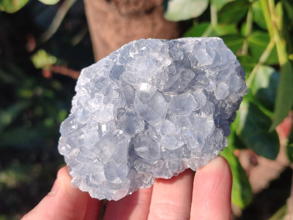 Natural Blue Celestite Specimens x 55 From Sakoany, Madagascar - Toprock Gemstones and Minerals 