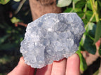 Natural Blue Celestite Specimens x 55 From Sakoany, Madagascar - Toprock Gemstones and Minerals 