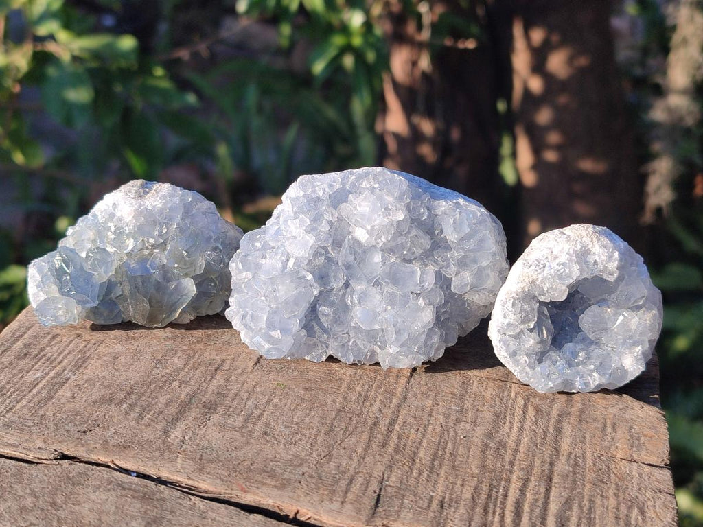 Natural Blue Celestite Specimens x 55 From Sakoany, Madagascar - Toprock Gemstones and Minerals 