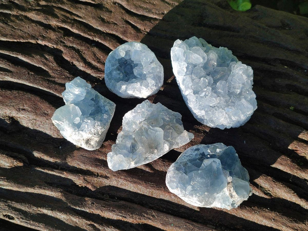 Natural Blue Celestite Specimens x 55 From Sakoany, Madagascar - Toprock Gemstones and Minerals 