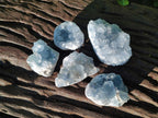 Natural Blue Celestite Specimens x 55 From Sakoany, Madagascar - Toprock Gemstones and Minerals 