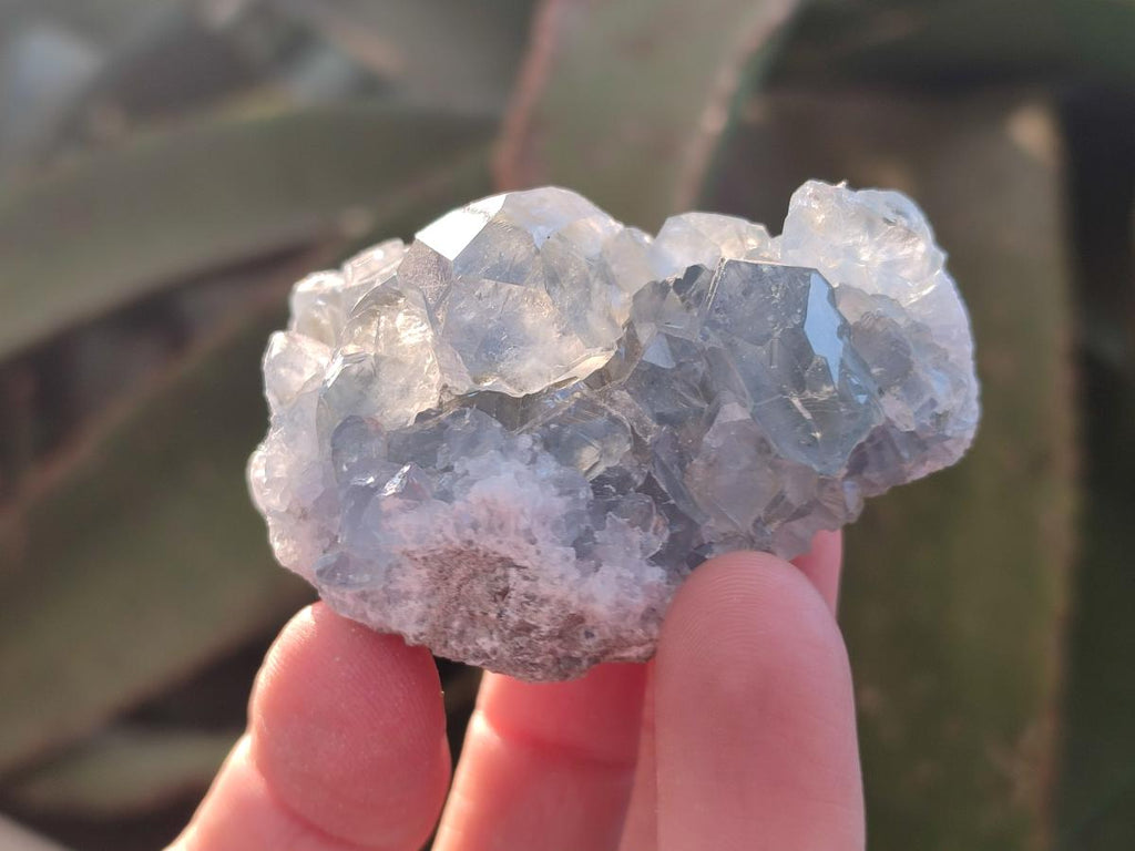 Natural Blue Celestite Specimens x 55 From Sakoany, Madagascar - Toprock Gemstones and Minerals 