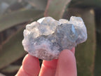 Natural Blue Celestite Specimens x 55 From Sakoany, Madagascar - Toprock Gemstones and Minerals 
