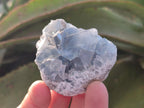 Natural Blue Celestite Specimens x 55 From Sakoany, Madagascar - Toprock Gemstones and Minerals 