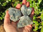 Natural Blue Celestite Specimens x 55 From Sakoany, Madagascar - Toprock Gemstones and Minerals 
