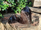 Polished Smokey Morion Quartz Standing Display Crystals x 2 From Madagascar - Toprock Gemstones and Minerals 