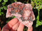 Natural Spherocobaltite Specimens with Heterogonite x 8 From Musonoi Mine, Congo - Toprock Gemstones and Minerals 