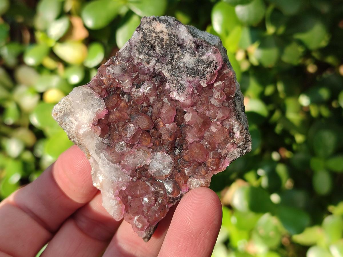 Natural Spherocobaltite Specimens with Heterogonite x 8 From Musonoi Mine, Congo - Toprock Gemstones and Minerals 