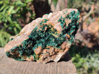 Natural Crystalline Malachite Specimens x 3 From Tenke Fungurume, Congo - Toprock Gemstones and Minerals 