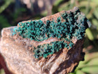 Natural Crystalline Malachite Specimens x 3 From Tenke Fungurume, Congo - Toprock Gemstones and Minerals 