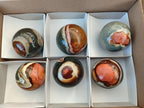 Polished Polychrome Jasper Spheres x 6 From NW Coast, Madagascar - Toprock Gemstones and Minerals 