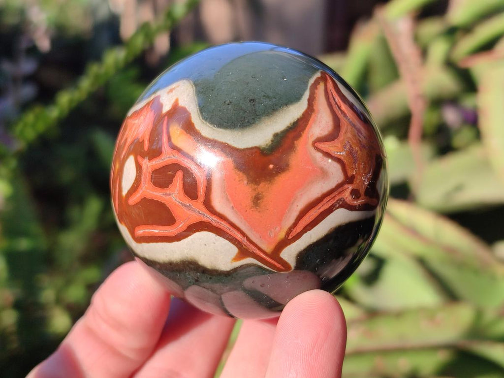 Polished Polychrome Jasper Spheres x 6 From NW Coast, Madagascar - Toprock Gemstones and Minerals 