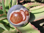Polished Polychrome Jasper Spheres x 6 From NW Coast, Madagascar - Toprock Gemstones and Minerals 