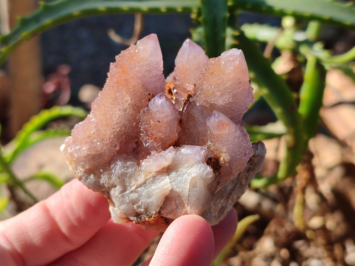 Natural Lilac Drusy Spirit Amethyst Clusters with Ametrine x 12 From Boekenhouthoek, South Africa - Toprock Gemstones and Minerals 