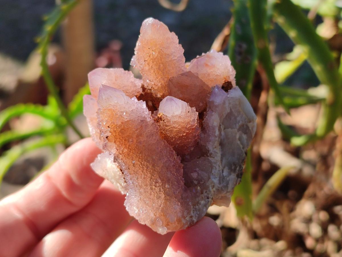 Natural Lilac Drusy Spirit Amethyst Clusters with Ametrine x 12 From Boekenhouthoek, South Africa - Toprock Gemstones and Minerals 