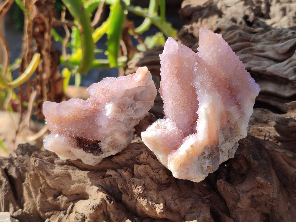 Natural Lilac Drusy Spirit Amethyst Clusters with Ametrine x 12 From Boekenhouthoek, South Africa - Toprock Gemstones and Minerals 