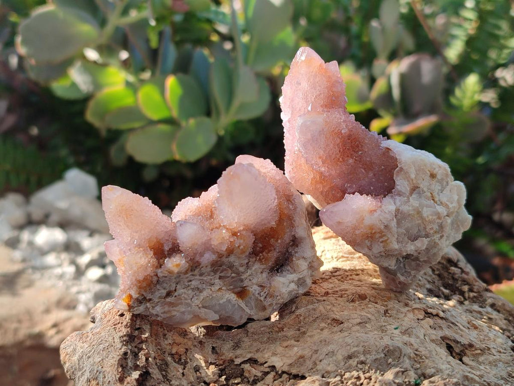 Natural Lilac Drusy Spirit Amethyst Clusters with Ametrine x 12 From Boekenhouthoek, South Africa - Toprock Gemstones and Minerals 