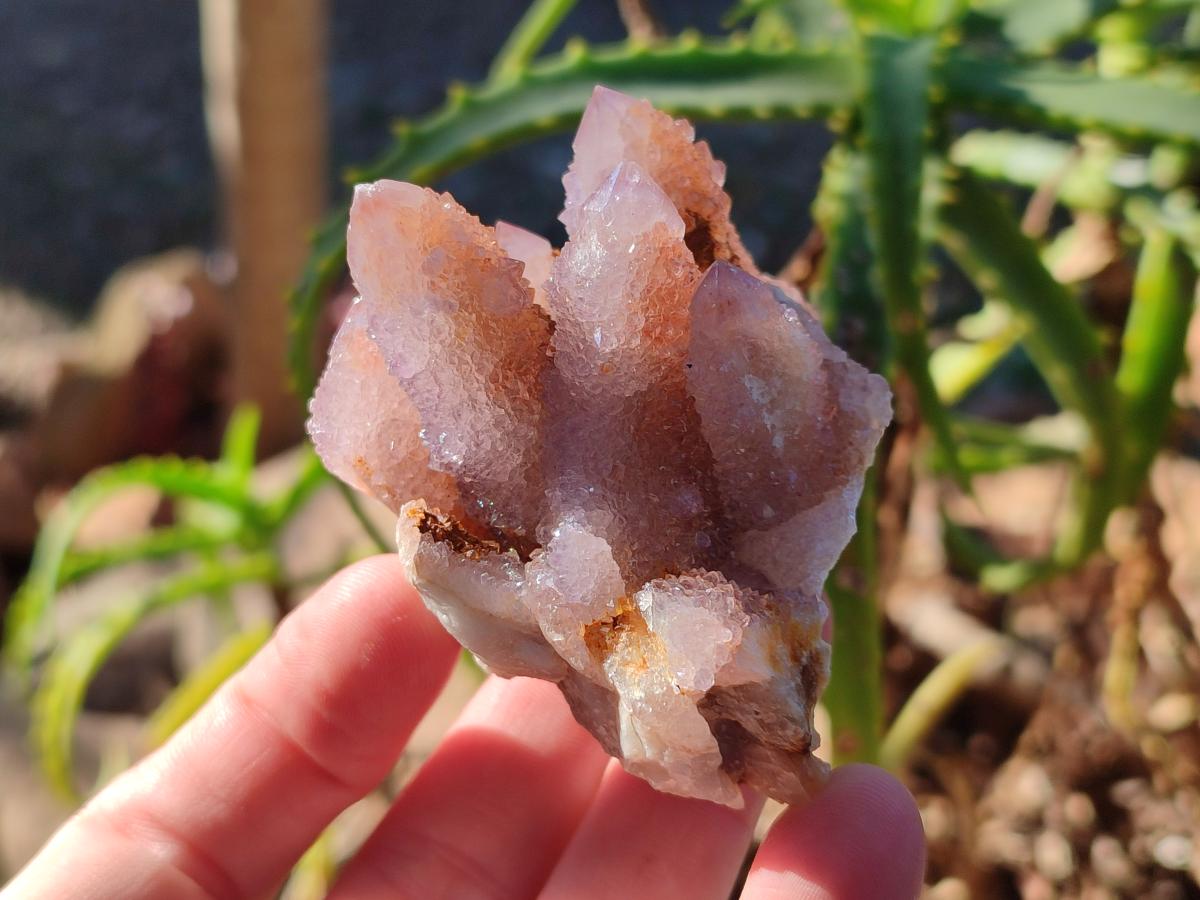 Natural Lilac Drusy Spirit Amethyst Clusters with Ametrine x 12 From Boekenhouthoek, South Africa - Toprock Gemstones and Minerals 