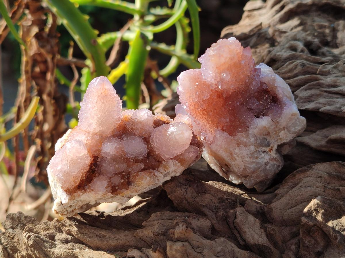 Natural Lilac Drusy Spirit Amethyst Clusters with Ametrine x 12 From Boekenhouthoek, South Africa - Toprock Gemstones and Minerals 