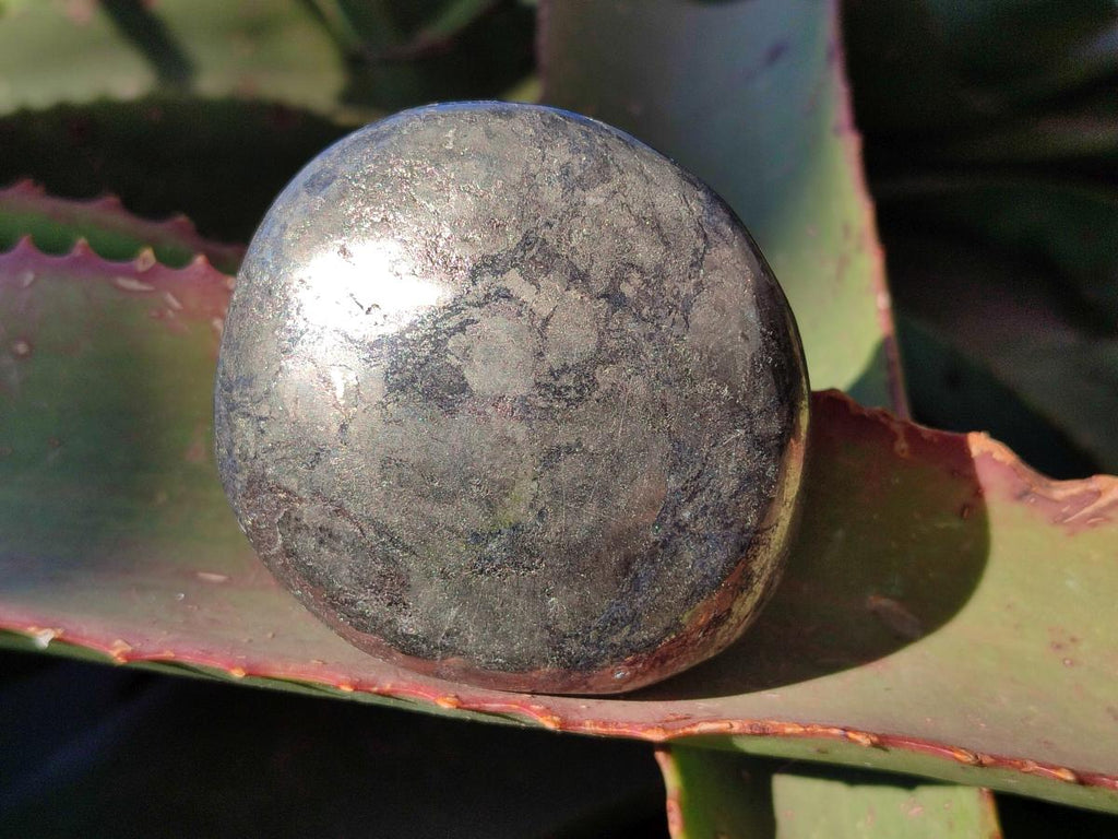 Polished Basalt Pharaoh Stone Galets x 4 From Iron Duke Mine, Zimbabwe - Toprock Gemstones and Minerals 