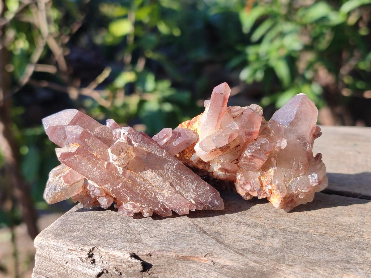 Natural Red Hematoid Quartz Crystals and Clusters x 12 From Karoi, Zimbabwe - Toprock Gemstones and Minerals 