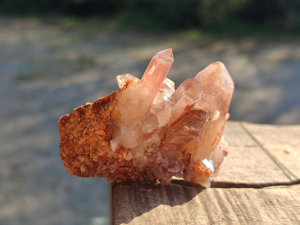 Natural Red Hematoid Quartz Crystals and Clusters x 12 From Karoi, Zimbabwe - Toprock Gemstones and Minerals 