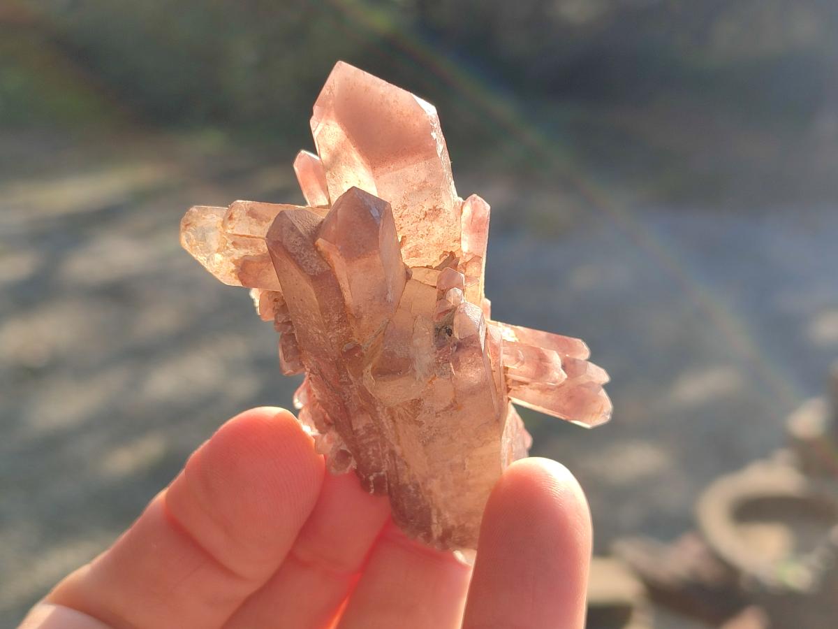 Natural Red Hematoid Quartz Crystals and Clusters x 12 From Karoi, Zimbabwe - Toprock Gemstones and Minerals 