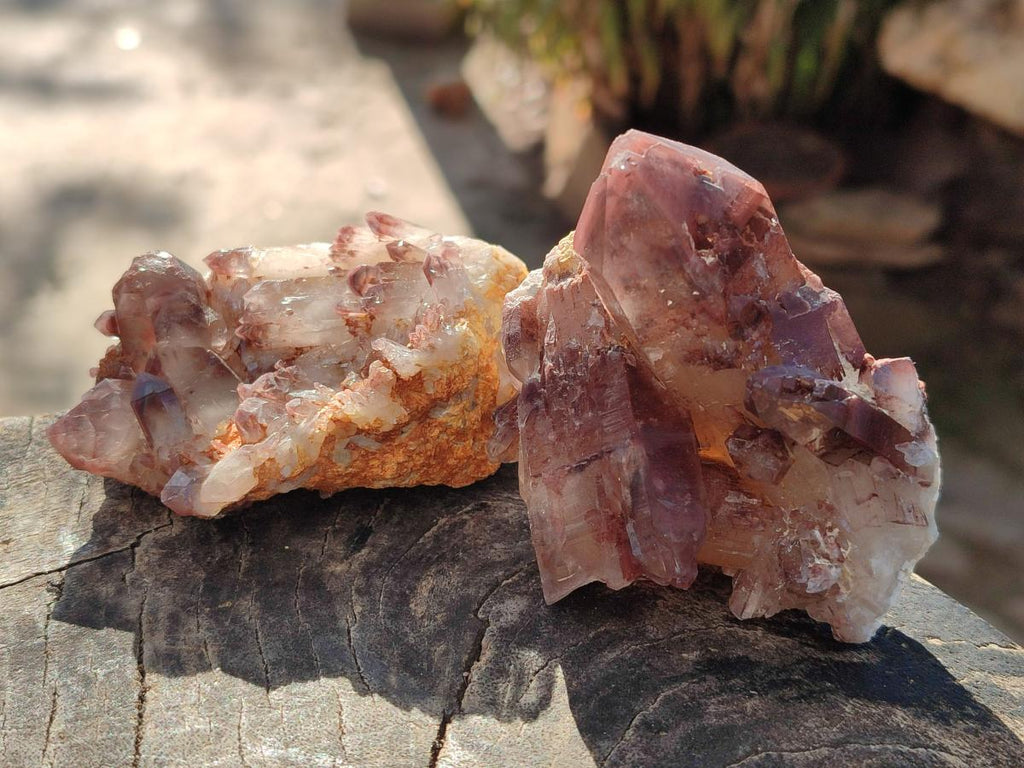 Natural Red Hematoid Quartz Crystals and Clusters x 12 From Karoi, Zimbabwe - Toprock Gemstones and Minerals 
