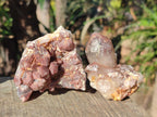 Natural Red Hematoid Quartz Crystals and Clusters x 12 From Karoi, Zimbabwe - Toprock Gemstones and Minerals 