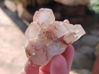 Natural Red Hematoid Quartz Crystals and Clusters x 12 From Karoi, Zimbabwe - Toprock Gemstones and Minerals 