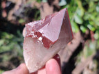 Natural Red Hematoid Quartz Crystals and Clusters x 12 From Karoi, Zimbabwe - Toprock Gemstones and Minerals 