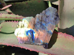 Polished One Side Labradorite Display Pieces x 24 From Madagascar - Toprock Gemstones and Minerals 