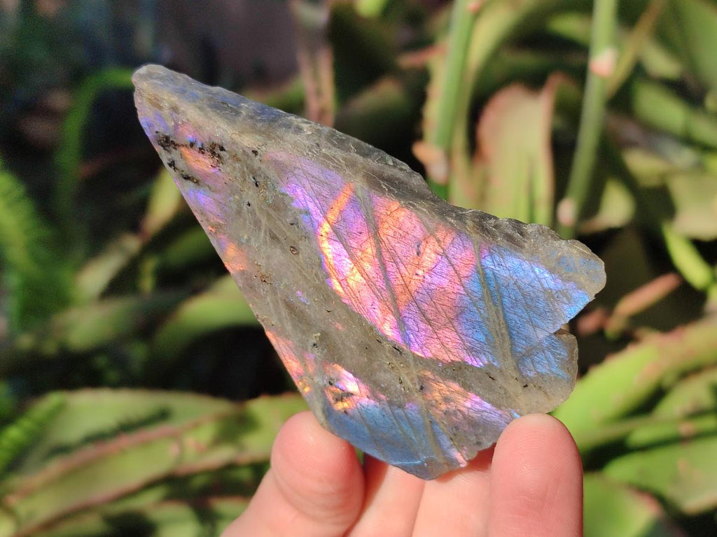 Polished One Side Labradorite Display Pieces x 24 From Madagascar - Toprock Gemstones and Minerals 