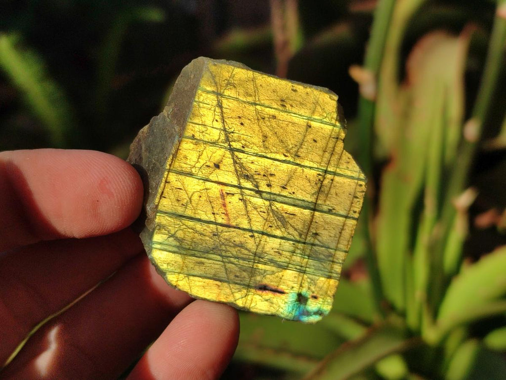 Polished One Side Labradorite Display Pieces x 24 From Madagascar - Toprock Gemstones and Minerals 