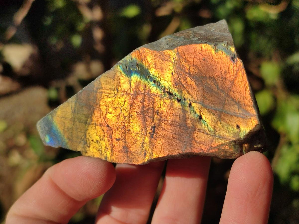 Polished One Side Labradorite Display Pieces x 24 From Madagascar - Toprock Gemstones and Minerals 