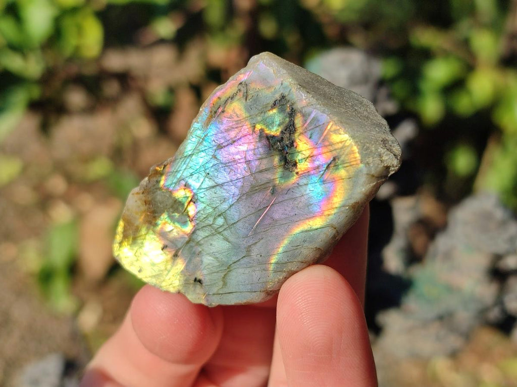 Polished One Side Labradorite Display Pieces x 24 From Madagascar - Toprock Gemstones and Minerals 