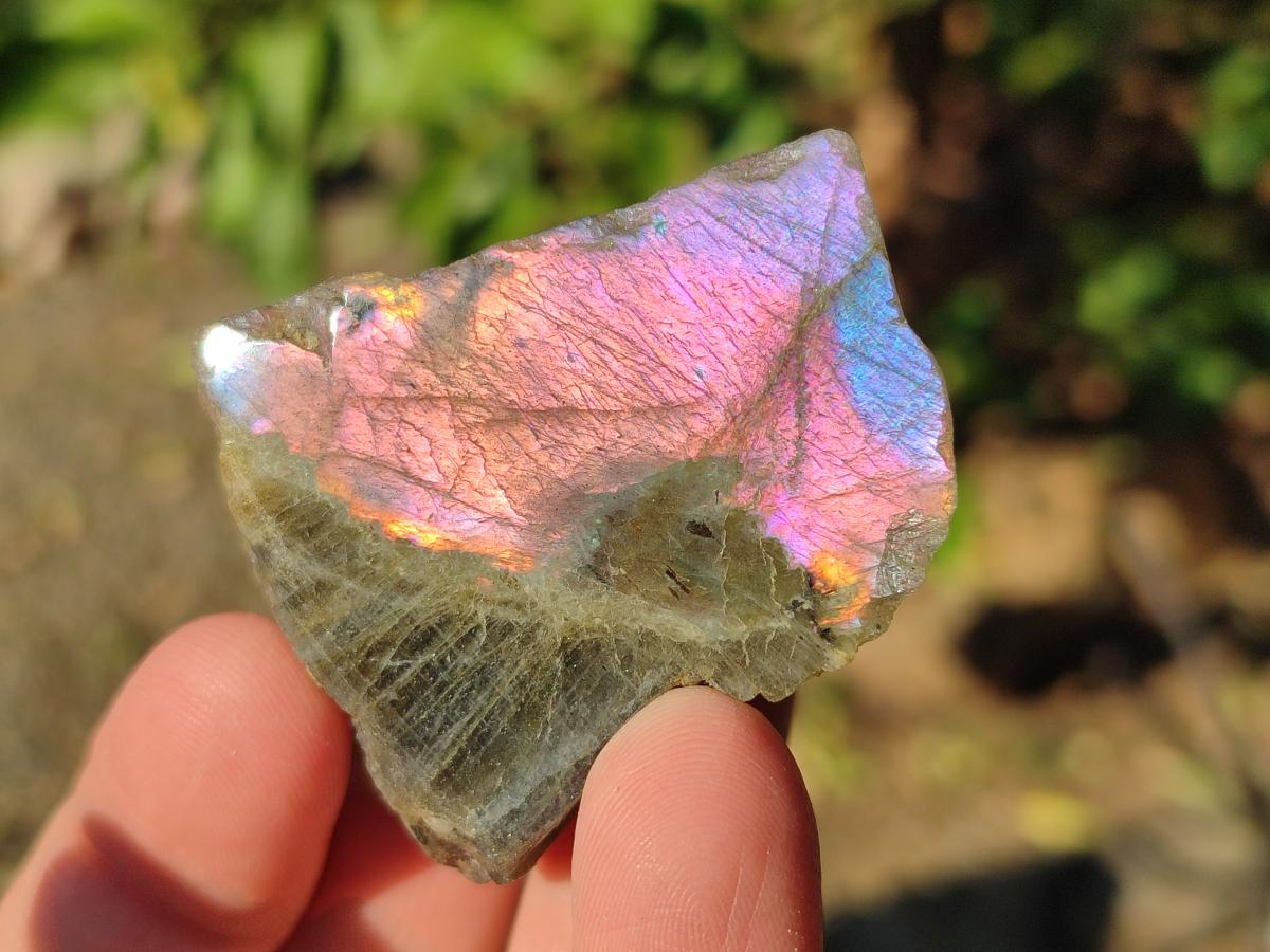 Polished One Side Labradorite Display Pieces x 24 From Madagascar - Toprock Gemstones and Minerals 