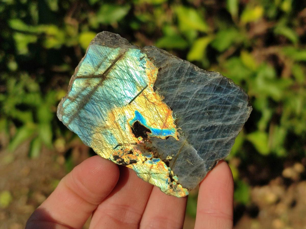 Polished One Side Labradorite Display Pieces x 24 From Madagascar - Toprock Gemstones and Minerals 