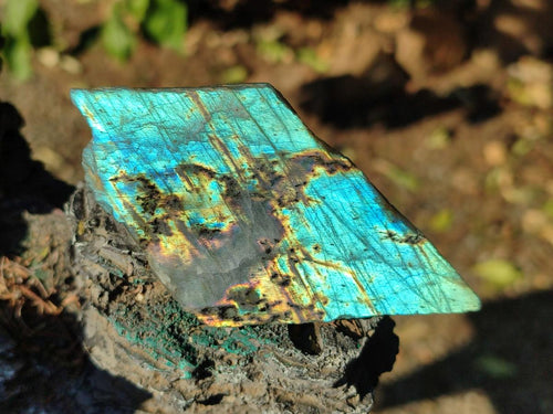 Polished One Side Labradorite Display Pieces x 24 From Madagascar - Toprock Gemstones and Minerals 