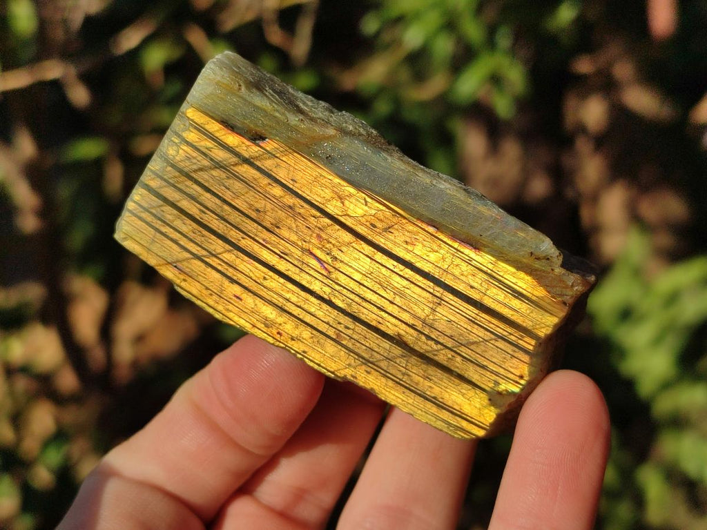 Polished One Side Labradorite Display Pieces x 24 From Madagascar - Toprock Gemstones and Minerals 
