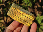 Polished One Side Labradorite Display Pieces x 24 From Madagascar - Toprock Gemstones and Minerals 